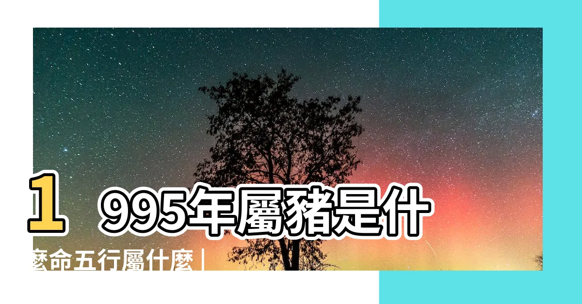 【1995 五行】1995年屬豬是什麼命五行屬什麼 |95年出生五行屬什麼 |1995年是什麼命 |