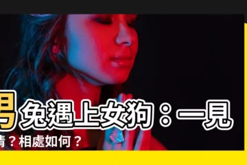 【男兔女狗】男兔遇上女狗：一見鍾情？相處如何？