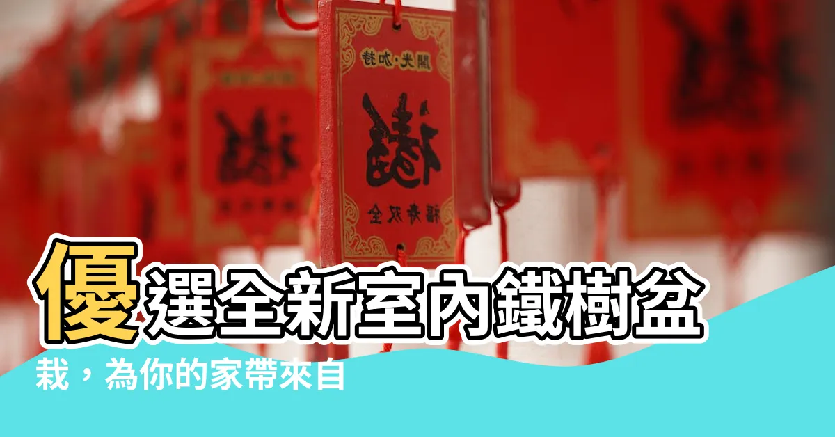 【室內鐵樹】優選全新室內鐵樹盆栽，為你的家帶來自然之美