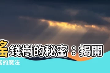 【搖錢樹】搖錢樹的秘密：揭開致富的魔法