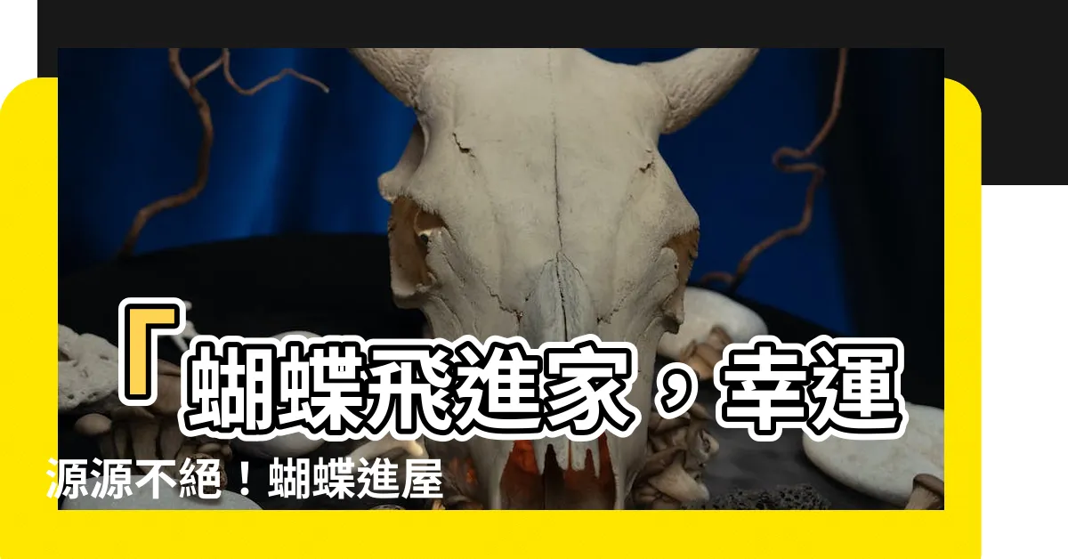 【蝴蝶飛進家】「蝴蝶飛進家，幸運源源不絕！蝴蝶進屋的吉祥寓意一文打捧！」