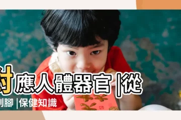 【五行對應的人的身體】對應人體器官 |從頭到腳 |保健知識 |