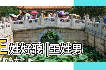 【王姓男寶寶姓名】王姓好聽 |王姓男寶寶取名大全 |姓王的男孩名字大全 |