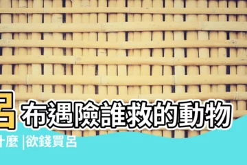 【欲錢看呂布是什麼生肖】呂布遇險誰救的動物是什麼 |欲錢買呂布遇險誰來救的生肖打一生肖 |欲錢看呂布是什麼生肖 |