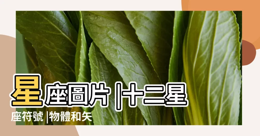 星座圖片 |十二星座符號 |物體和矢量圖 |【十二星座星星圖中文】