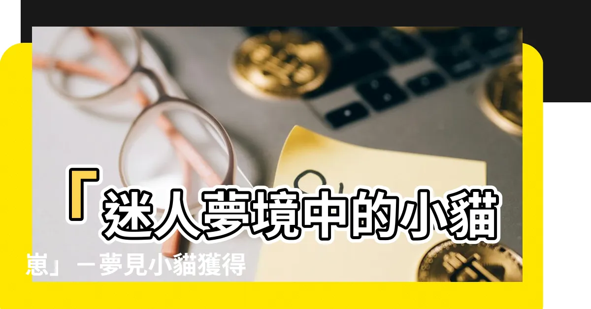 【夢見小貓】「迷人夢境中的小貓崽」－夢見小貓獲得的驚喜意義與解析