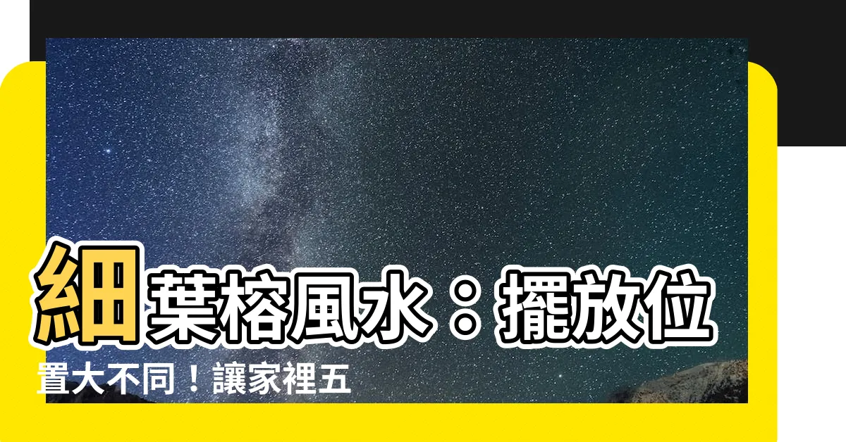 【細葉榕風水】細葉榕風水：擺放位置大不同！讓家裡五運亨通的盆栽秘笈