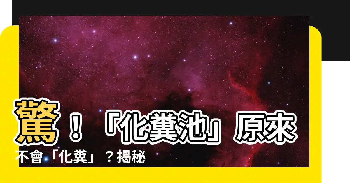 【化糞池 原理】驚！「化糞池」原來不會「化糞」？揭秘「化糞池」的神奇原理