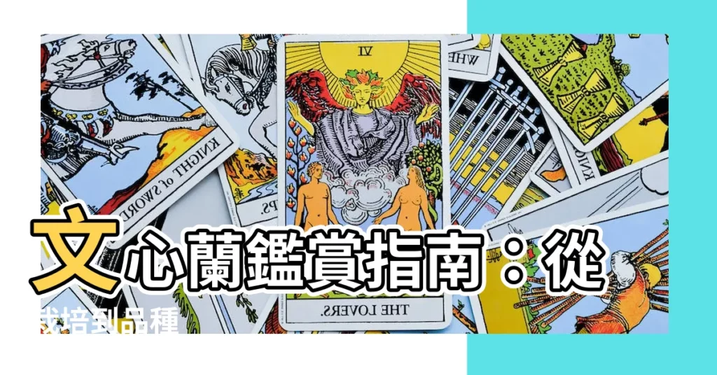 【文心蘭盆花】文心蘭鑑賞指南:從栽培到品種