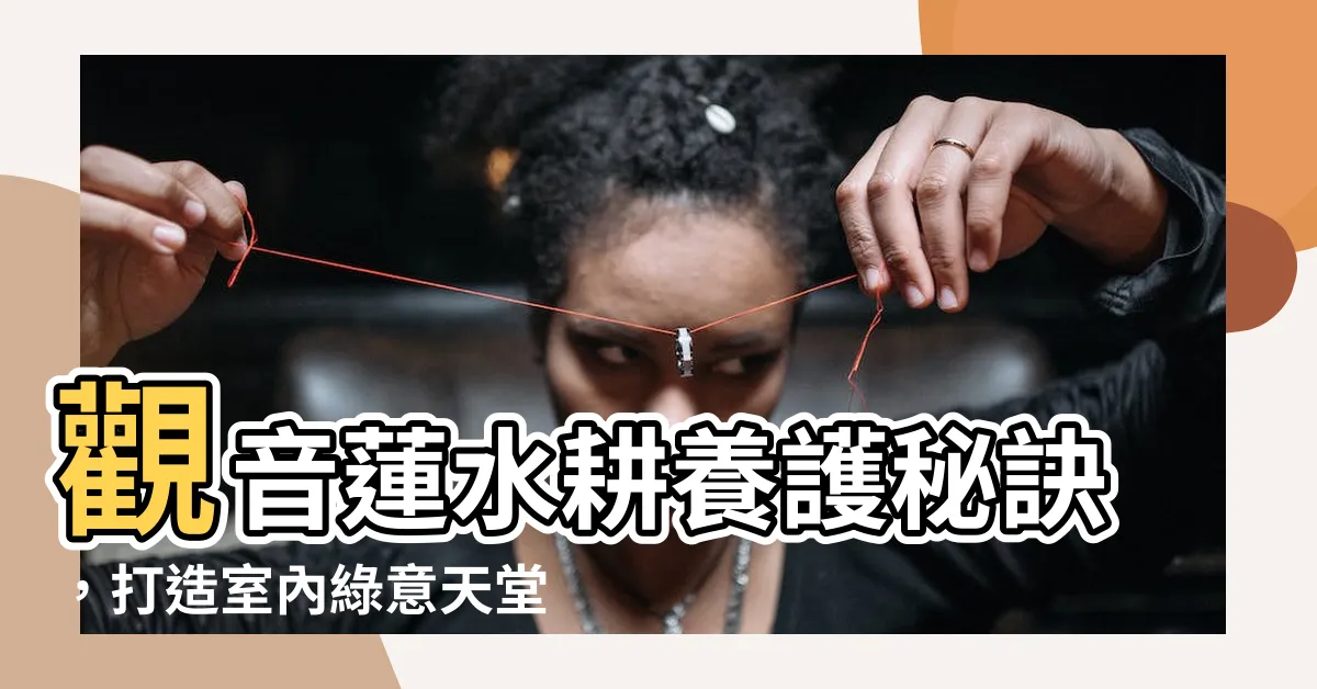 【觀音蓮 水培】觀音蓮水耕養護秘訣，打造室內綠意天堂