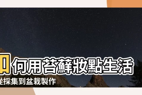 【如何養苔蘚】如何用苔蘚妝點生活?從採集到盆栽製作的苔蘚養殖全攻略