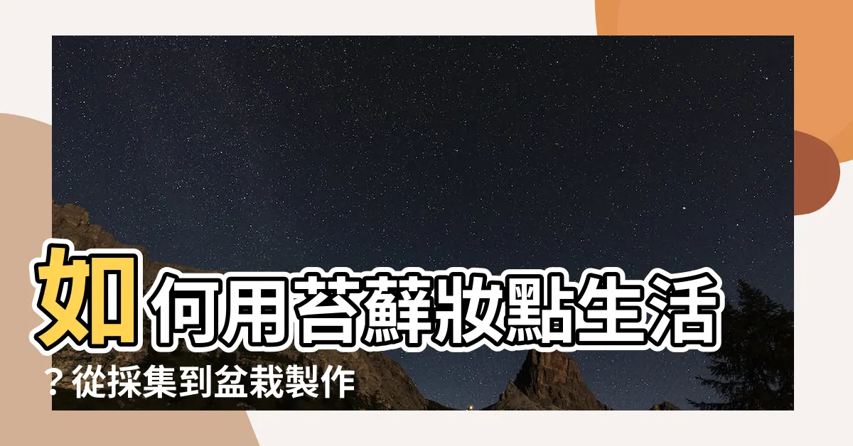 【如何養苔蘚】如何用苔蘚妝點生活?從採集到盆栽製作的苔蘚養殖全攻略