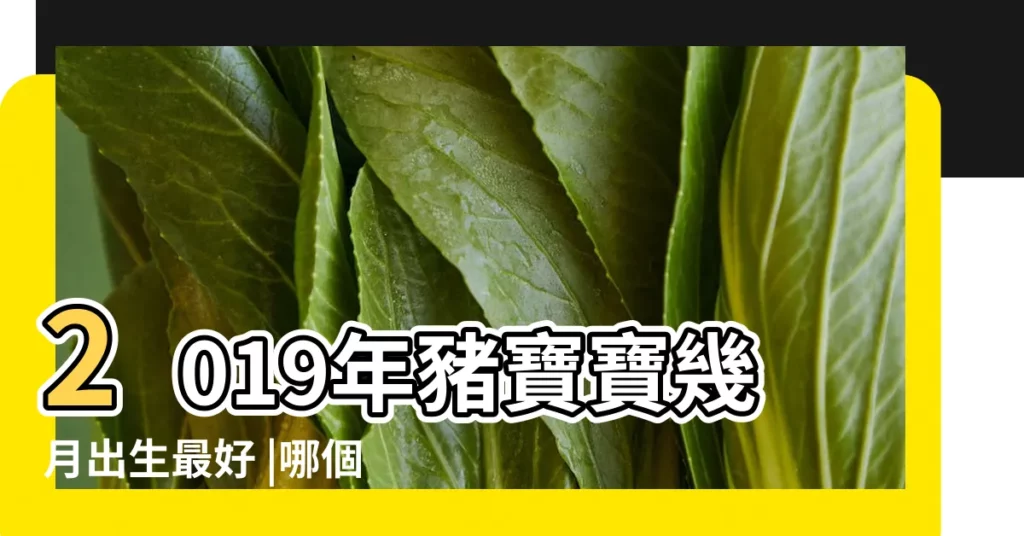 2019年豬寶寶幾月出生最好 |哪個時辰好 |2019豬寶寶幾月出生最好2019年上半年出生的豬寶寶比較好 |【2019豬的豬寶寶7月好8好】