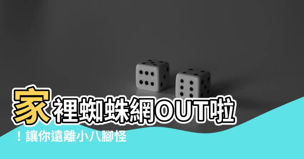 【家裡蜘蛛網】家裡蜘蛛網OUT啦！讓你遠離小八腳怪！
