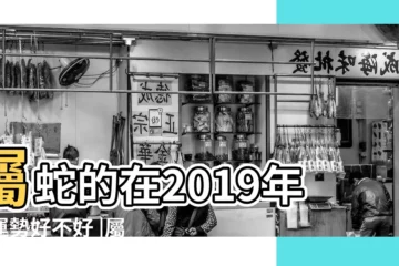 【2019屬馬和屬蛇的運氣】屬蛇的在2019年的運勢好不好 |屬蛇2019年運勢及運程2019年屬蛇人的全年運勢 |2019年的幸運色 |