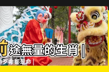【命好命歹都是一生】前途無量的生肖 |好命歹命都是命 |命順命歹攏是一生 |