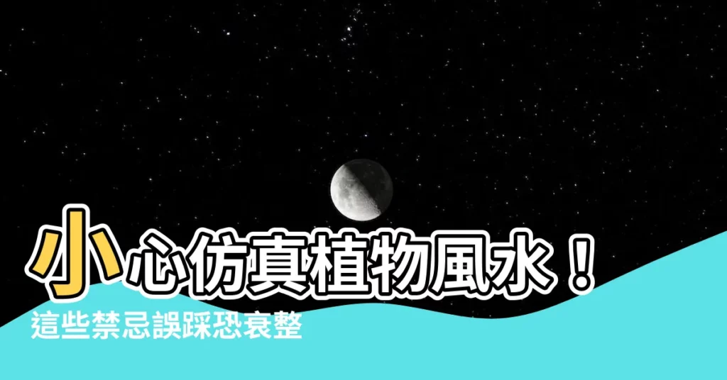 【仿真植物風水】小心仿真植物風水！這些禁忌誤踩恐衰整年