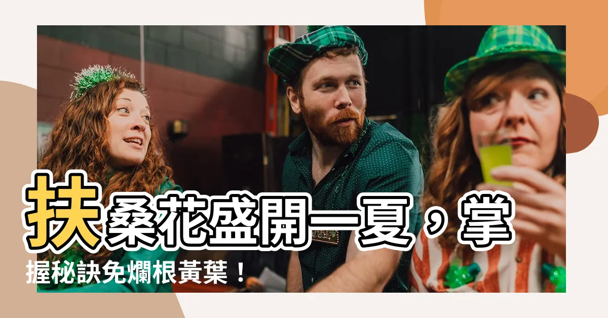 【桑扶花】扶桑花盛開一夏，掌握秘訣免爛根黃葉！