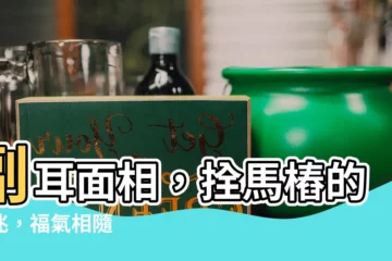 【副耳面相】副耳面相，拴馬樁的吉兆，福氣相隨