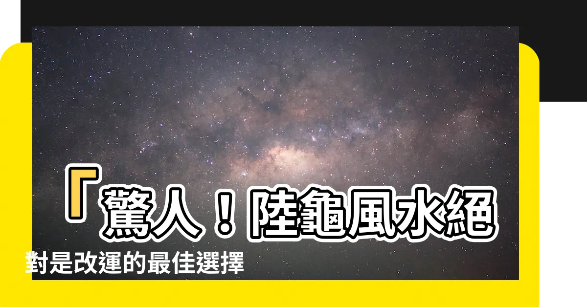 【陸龜風水】「驚人！陸龜風水絕對是改運的最佳選擇，經科學證實的奇效！」