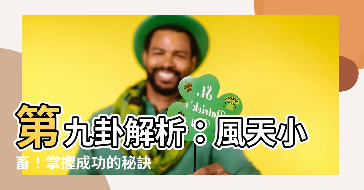 【第九卦】第九卦解析：風天小畜！掌握成功的秘訣，創造美好未來！