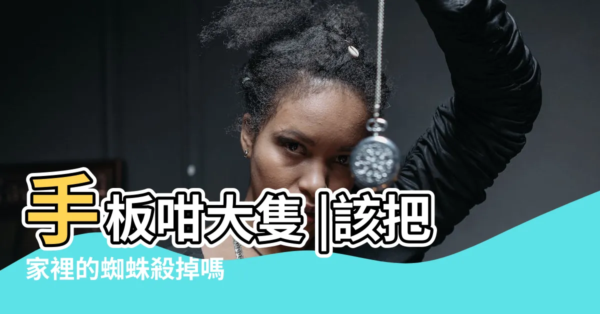【屋企蜘蛛】手板咁大隻 |該把家裡的蜘蛛殺掉嗎 |蜘蛛專家指遇到類似情況可以 |