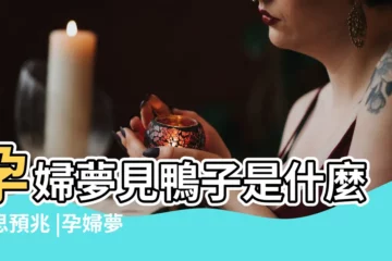 【懷孕夢到抓小鴨子是什麼意思】孕婦夢見鴨子是什麼意思預兆 |孕婦夢見抓了一隻鴨子 |夢見抓鴨子 |