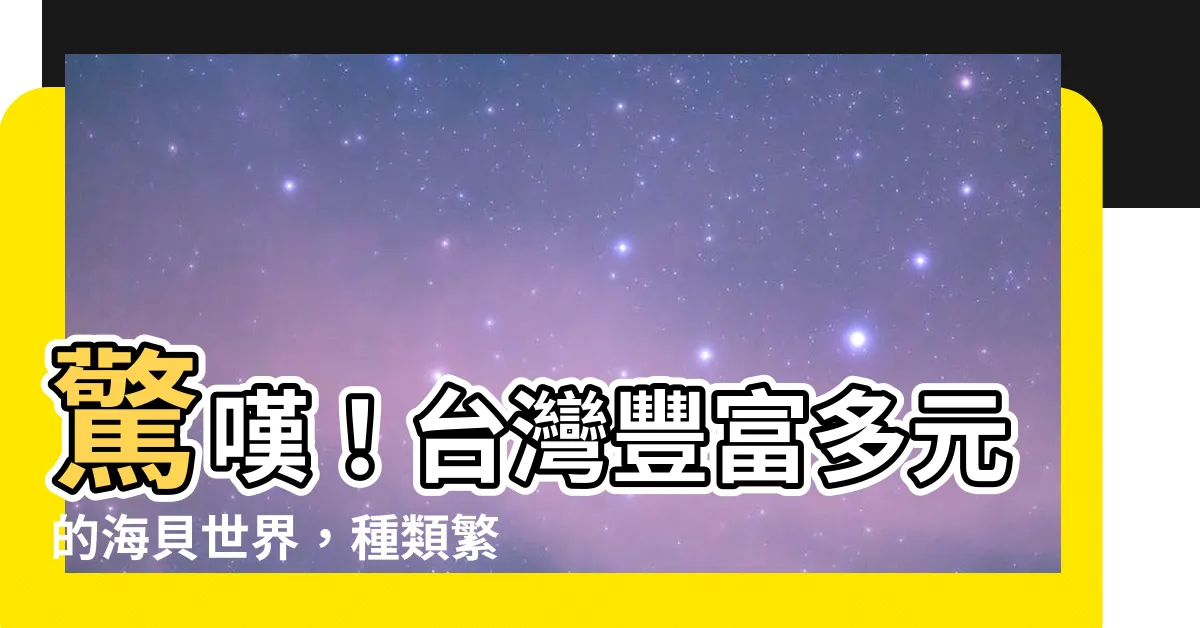 【貝類種類】驚嘆！台灣豐富多元的海貝世界，種類繁多等你來探索！