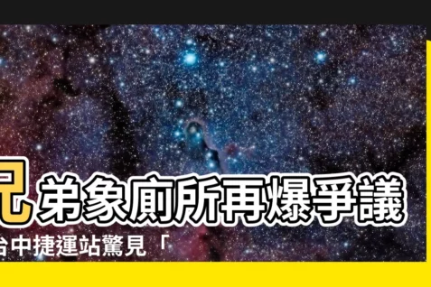 【兄弟象廁所】兄弟象廁所再爆爭議？台中捷運站驚見「奇幻旅程」