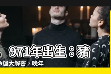 【1971年出生】1971年出生：豬年命運大解密，晚年運勢揭密！