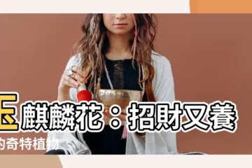 【玉麒麟花】玉麒麟花：招財又養眼的奇特植物