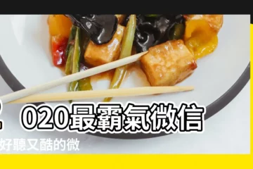 【好聽又酷的微信名字大全】2020最霸氣微信名 |好聽又酷的微信名字 |好聽好看高端網名高端的微信名字大全516個 |