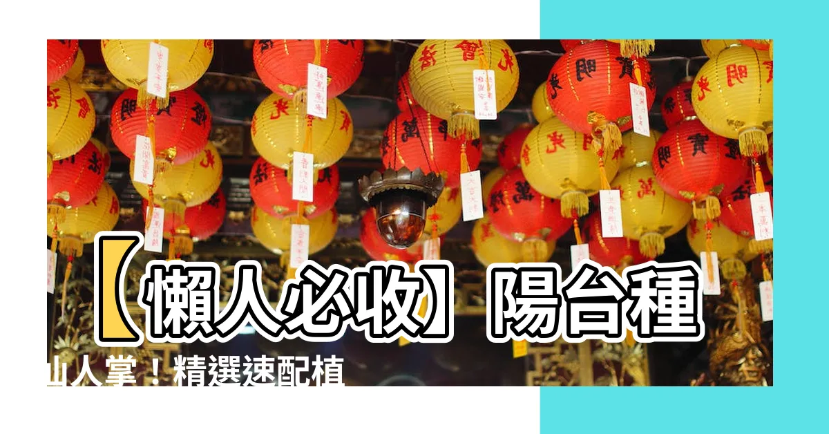 【陽台種仙人掌】【懶人必收】陽台種仙人掌！精選速配植栽養出綠意好氣色