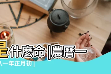 【1981年農曆2月9日出生的人】是什麼命 |農曆一九八一年正月初 |1981年2月9日出生時間看命運 |