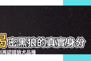 【黑狼】揭密黑狼的真實身分：別再認錯狼犬品種！
