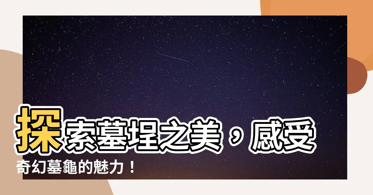 【墓埕】探索墓埕之美，感受奇幻墓龜的魅力！