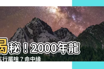 【2000 龍】揭秘！2000年龍年五行屬啥？命中緣分配對大公開！