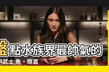 【鐵甲武士 魚】盤點水族界最帥氣的鐵甲武士 魚，簡直就是水族界的F4