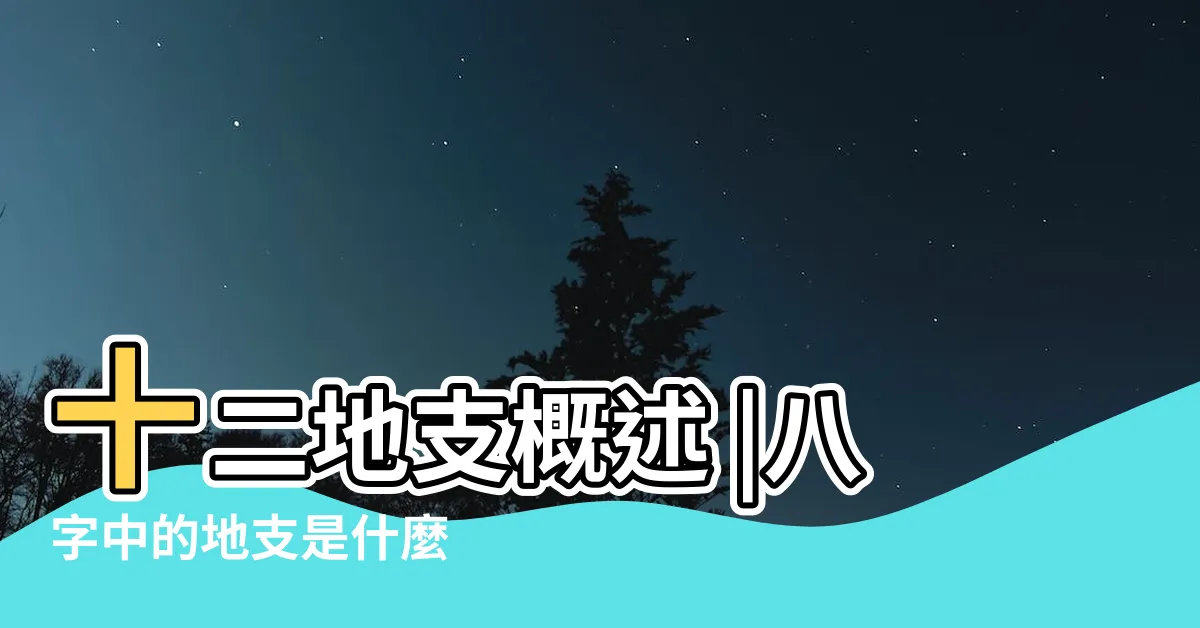 【八字 地支】十二地支概述 |八字中的地支是什麼 |八字學基礎之 |