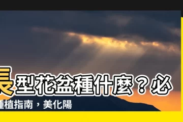 【長型花盆適合種什麼】長型花盆種什麼？必看種植指南，美化陽台好簡單！