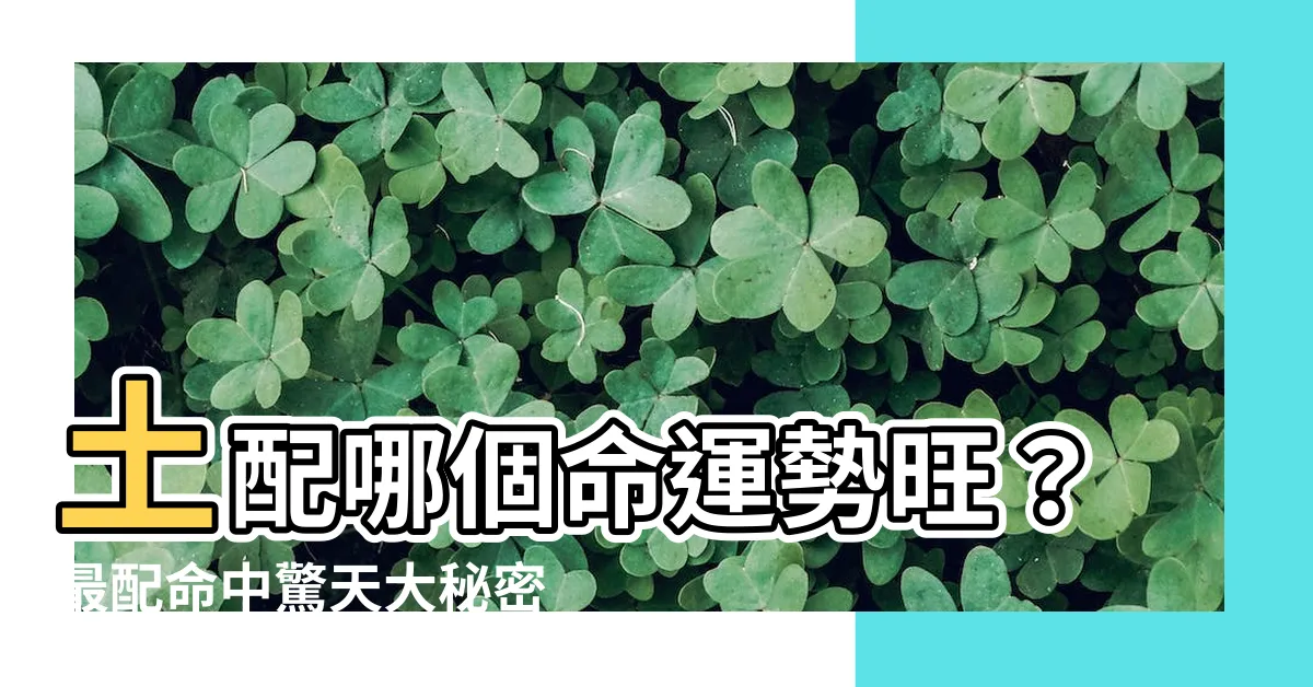 【土配】土配哪個命運勢旺？最配命中驚天大秘密