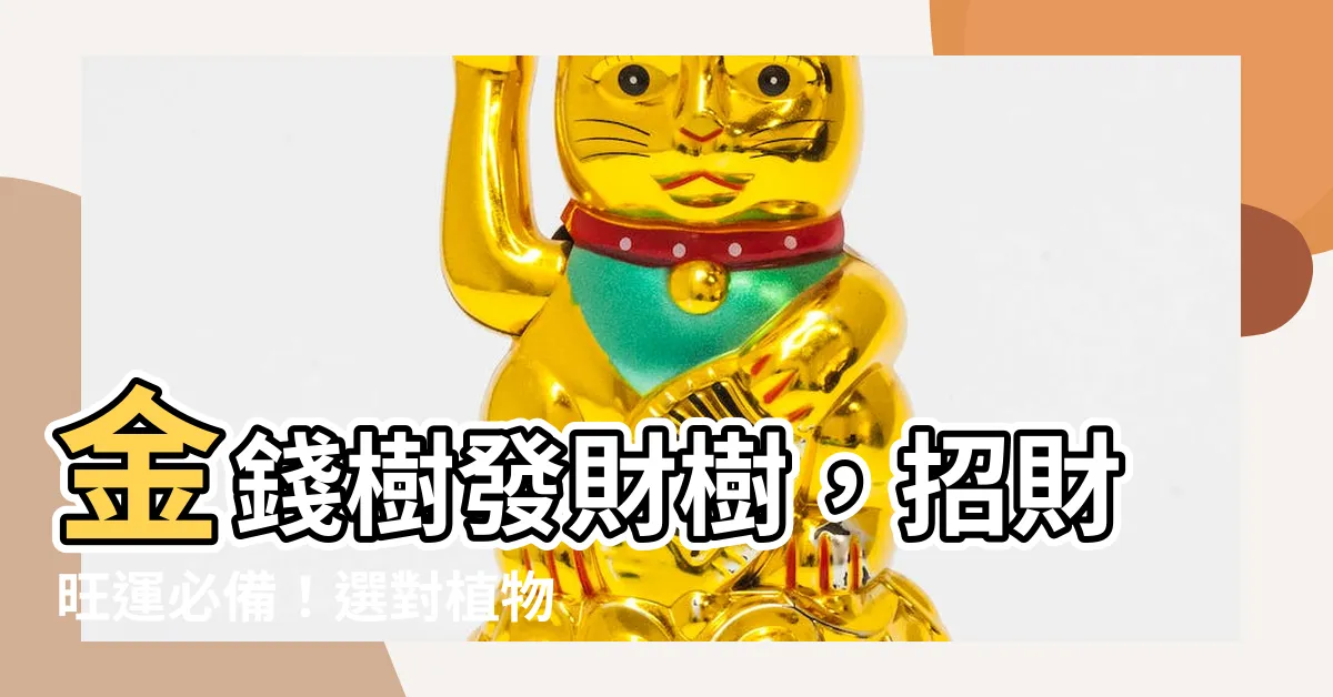 【金錢樹 發財樹】金錢樹發財樹，招財旺運必備！選對植物幫你財源滾滾