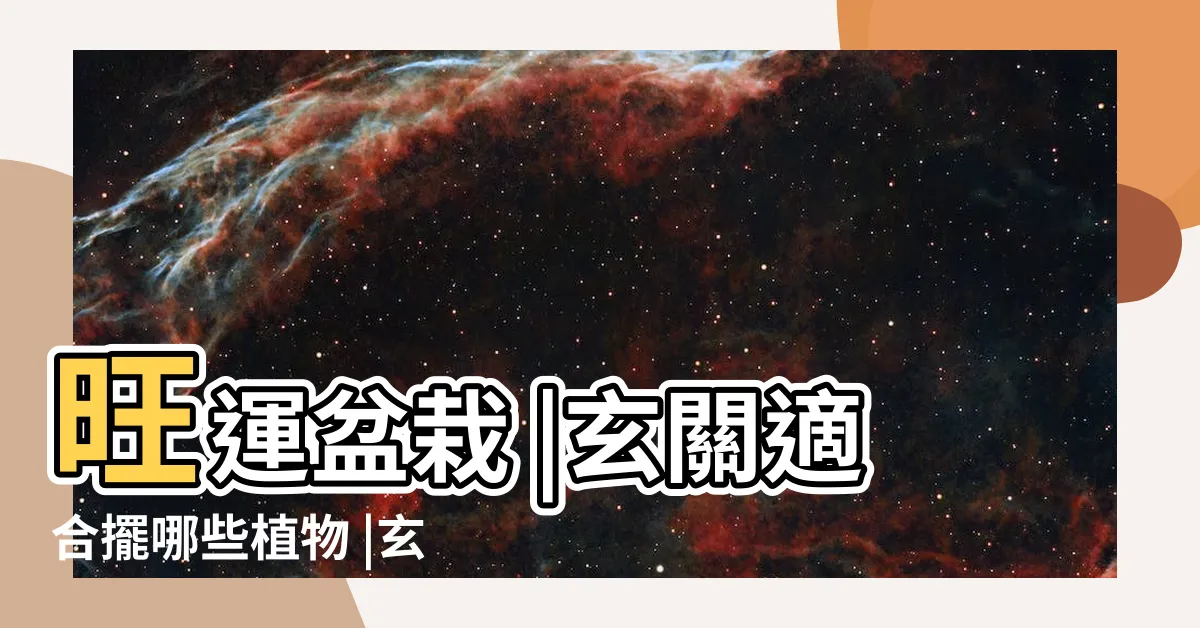 【玄關放什麼植物】旺運盆栽 |玄關適合擺哪些植物 |玄關植物擺放禁忌 |