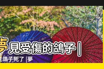 【夢見有人摔死鴿子】夢見受傷的鴿子 |夢見鴿子死了 |夢見鴿子受傷 |