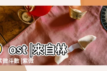 【紫微主星顏色】post |來自林海紫微斗數 |紫微鬥數主星簡介 |