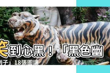 【黑色幽默例子】笑到心黑！「黑色幽默例子」18張圖讓你笑出聲
