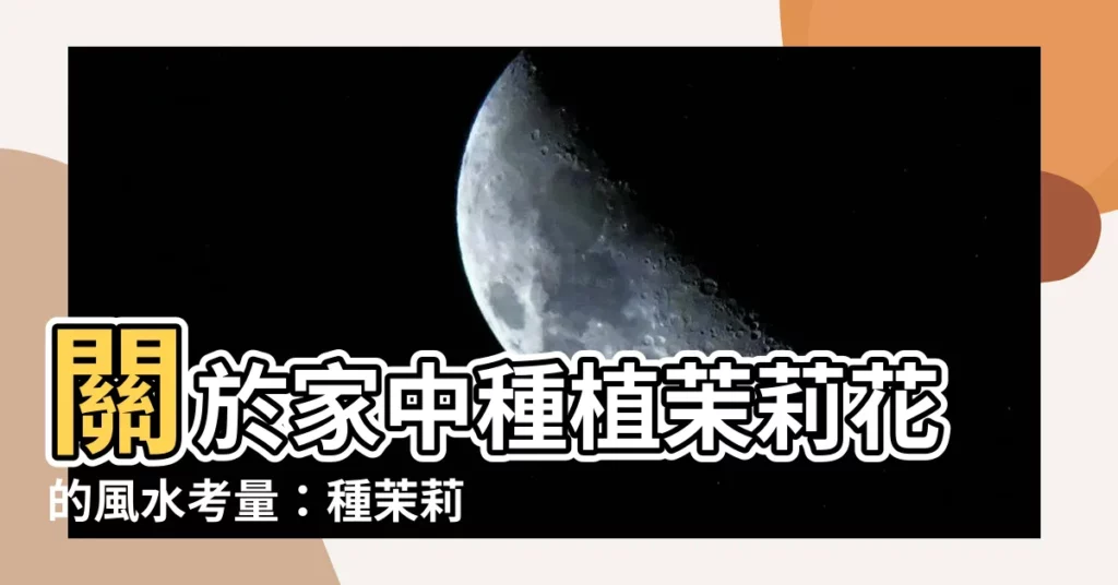 【種茉莉花好嗎】關於家中種植茉莉花的風水考量：種茉莉花好嗎？