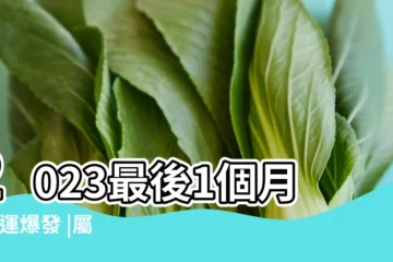 【生肖12月財運怎麼樣】2023最後1個月 |財運爆發 |屬兔者走上發財 |