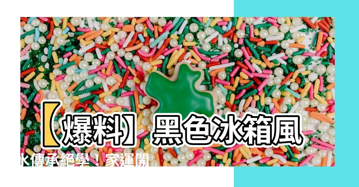【黑色冰箱風水】【爆料】黑色冰箱風水傳承絕學！家運開掛必備秘密！