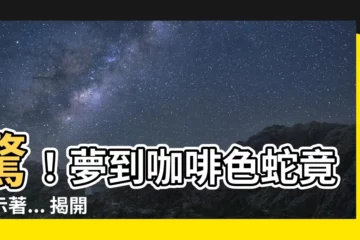 【夢到咖啡色的蛇】驚！夢到咖啡色蛇竟暗示著... 揭開你的潛意識秘密